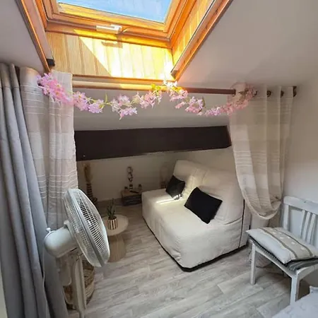 Pavillon Confortable A Argeles-sur-mer, Proche - Fr-1-732-58 Feriehus *